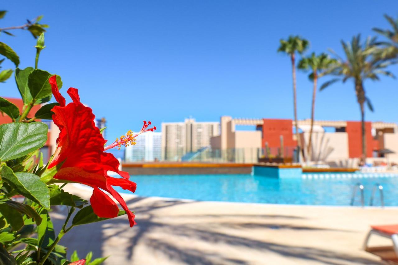 Gorgeous Paraiso Free Wifi بلايا بارايسو المظهر الخارجي الصورة